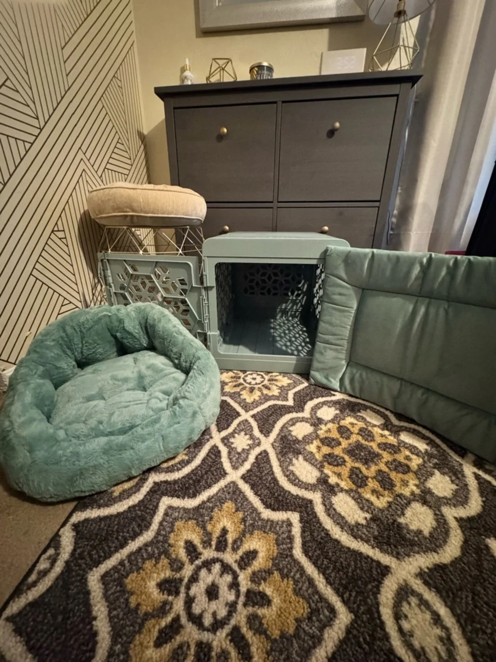 kindtail Collapsible Dog Crate & Crate Pad